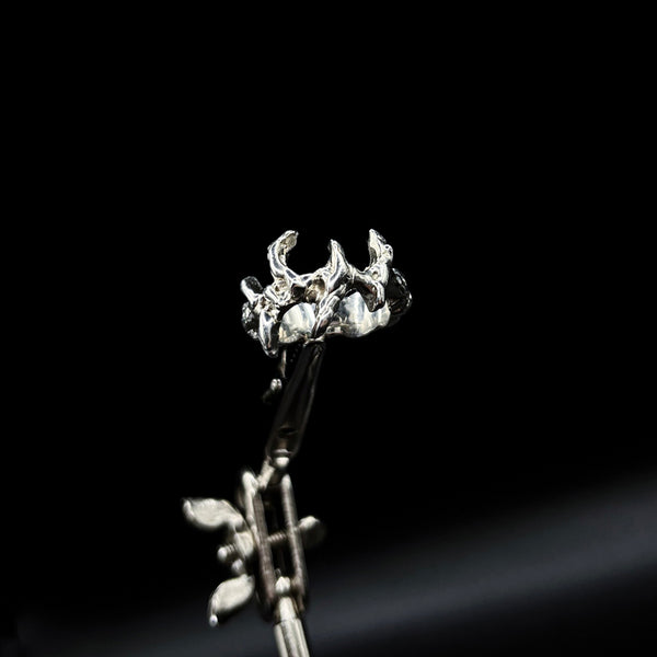 Spike Ring